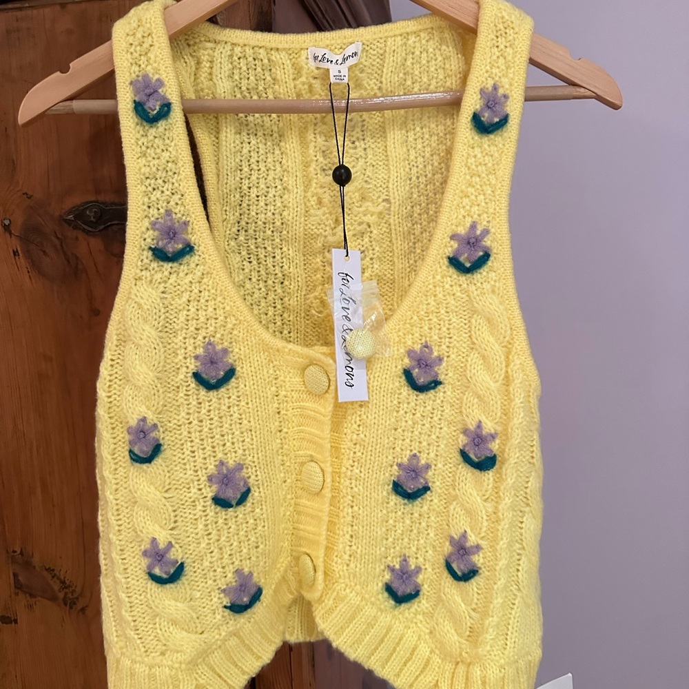 For love and lemons sweater vest